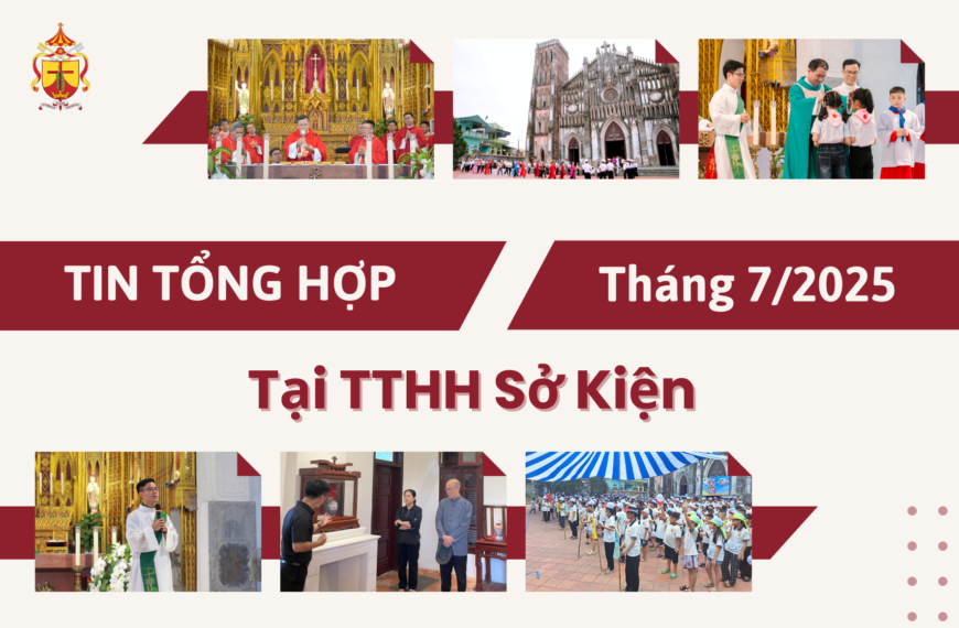 Tin tổng hợp TTHH Sở Kiện tháng 7/2025