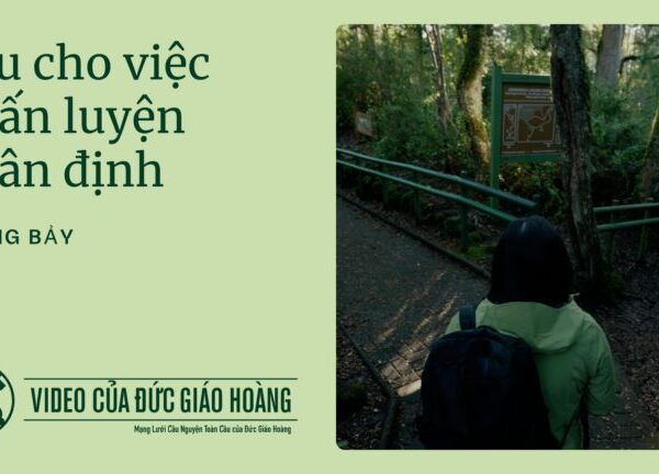 Tháng 7/2025: Cầu cho việc huấn luyện phân&hellip;