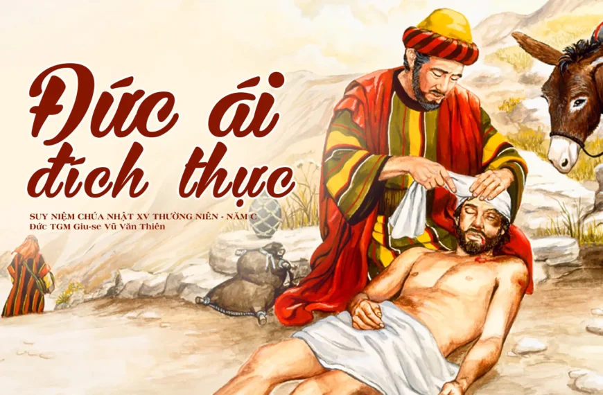 Đức ái đích thức – Chúa Nhật 15&hellip;