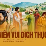 Niềm vui đích thực – Chúa Nhật XIV Thường niên – Năm C