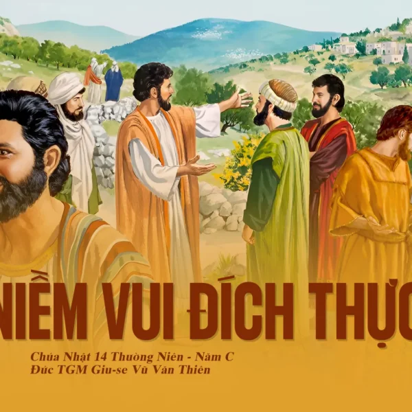 Niềm vui đích thực – Chúa Nhật XIV&hellip;