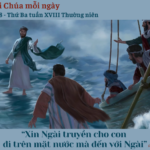 Ngày 05/8: Thứ Ba tuần XVIII Thường niên
