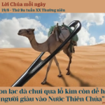 Ngày 19/8: Thứ Ba tuần XX Thường niên