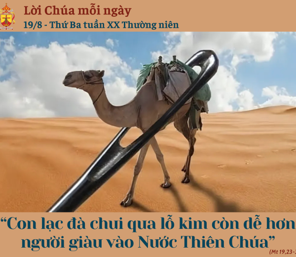 Ngày 19/8: Thứ Ba tuần XX Thường niên