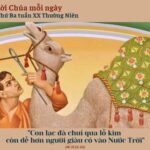 Thứ Ba tuần XX Thường niên