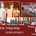 Tin tổng hợp TTHH Sở Kiện tháng 8/2025