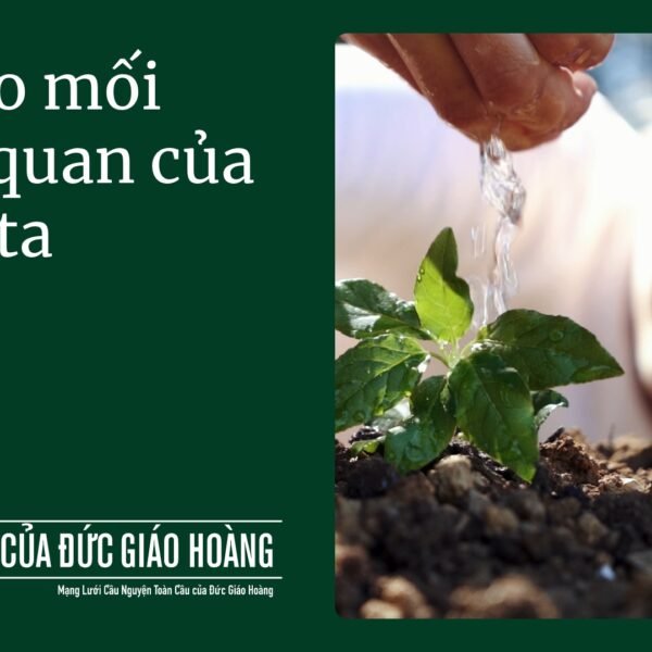 Tháng 9/2025: Cầu cho mối tương quan của&hellip;