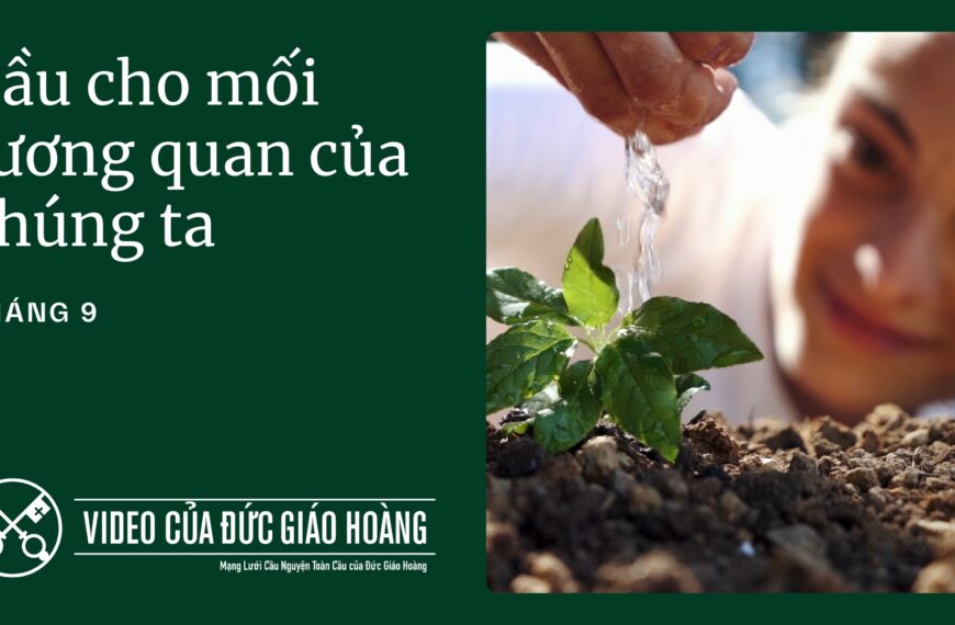 Tháng 9/2025: Cầu cho mối tương quan của&hellip;