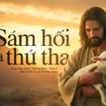 Sám hối và thứ tha – Chúa nhật XXIV Thường niên – Năm C