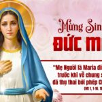 Ngày 08/09: Sinh Nhật Đức Trinh nữ Maria