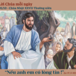 Ngày 05/10: Chúa Nhật XXVII Thường niên – Năm C