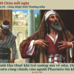 Ngày 26/10: Chúa Nhật XXX Thường niên