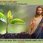 Ngày 28/10: Thứ Ba tuần XXX Thường niên