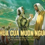 Chúa của muôn người – Chúa nhật XXVIII Thường niên – Năm C