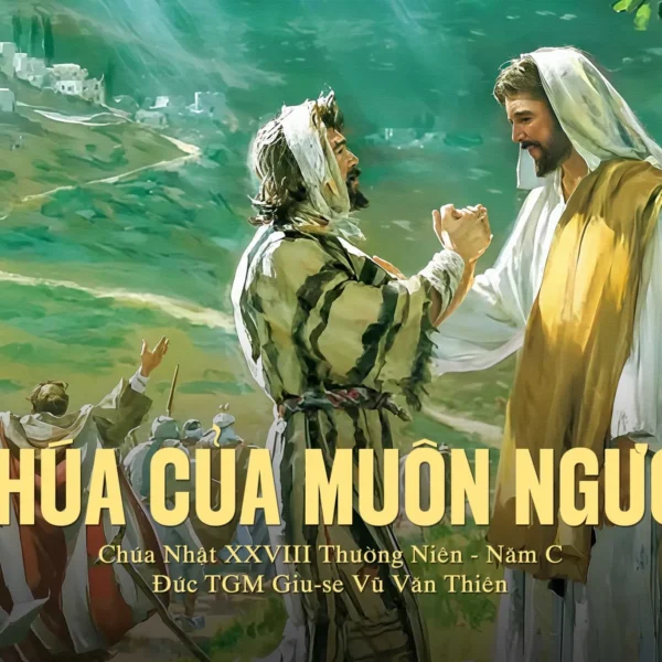 Chúa của muôn người – Chúa nhật XXVIII&hellip;