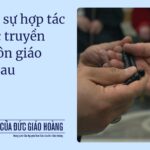 Tháng 10/2025: Cầu cho sự hợp tác giữa các truyền thống tôn giáo khác nhau
