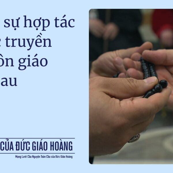 Tháng 10/2025: Cầu cho sự hợp tác giữa&hellip;