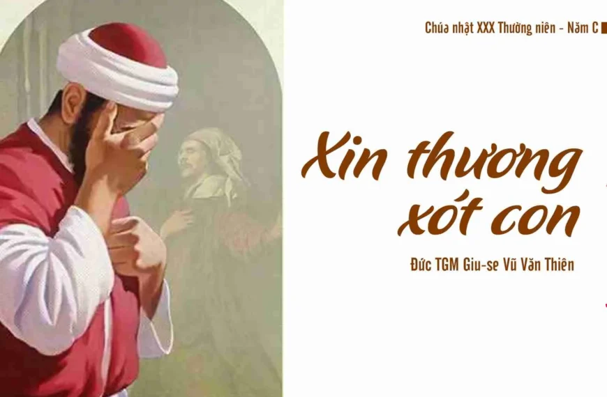 Xin thương xót con! – Chúa nhật XXX…