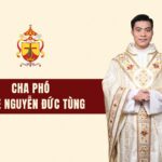 Cha phó Giuse Nguyễn Đức Tùng