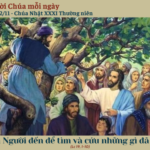 Ngày 02/11: Chúa Nhật XXXI Thường niên – Năm C