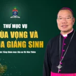 Thư mục vụ mùa Vọng và Giáng sinh 2025