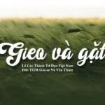 Gieo và gặt – Chúa Nhật XXXIII Thường Niên C – Kính trọng thể Các Thánh Tử Đạo Việt Nam