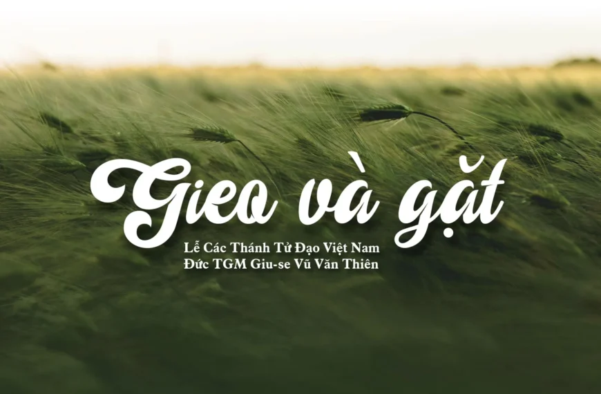 Gieo và gặt – Chúa Nhật XXXIII Thường…