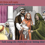 Ngày 29/12: Ngày thứ năm Tuần Bát Nhật Giáng Sinh