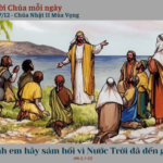 Ngày 07/12: Chúa Nhật II Mùa Vọng – năm A