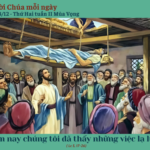 Ngày 08/12: Thứ Hai tuần II Mùa Vọng