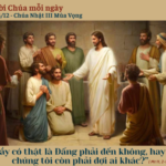 Ngày 14/12: Chúa Nhật III Mùa Vọng – Năm A