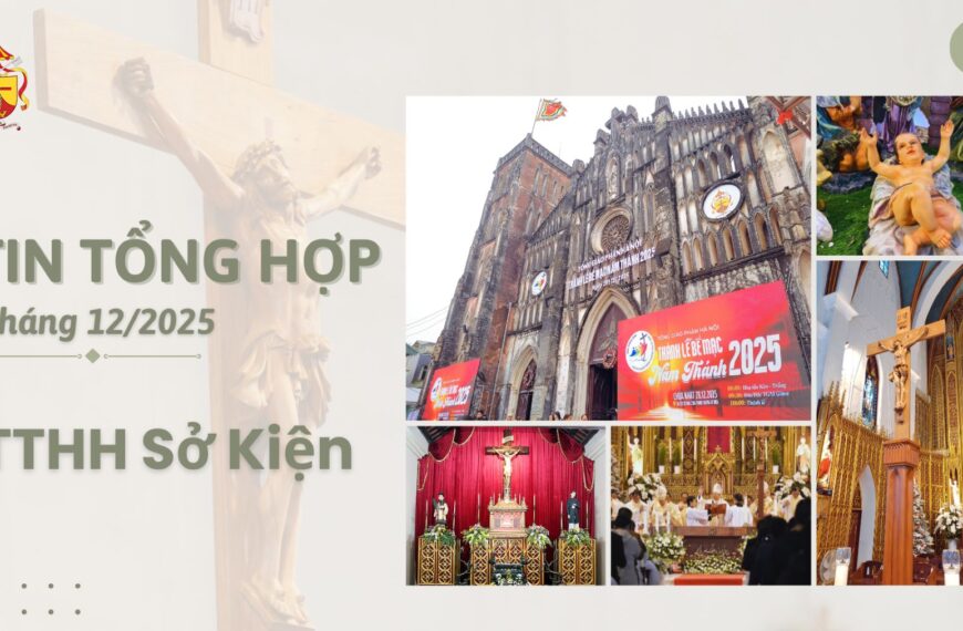 Tin tổng hợp TTHH Sở Kiện tháng 12/2025