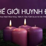 Thế giới huynh đệ – Chúa Nhật II Mùa Vọng – Năm A