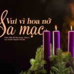Vui vì hoa nở giữa sa mạc – Chúa Nhật III Mùa Vọng – Năm A