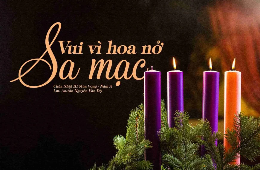Vui vì hoa nở giữa sa mạc –&hellip;
