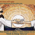Ngày 06/01: Thứ Ba sau Lễ Chúa Hiển Linh