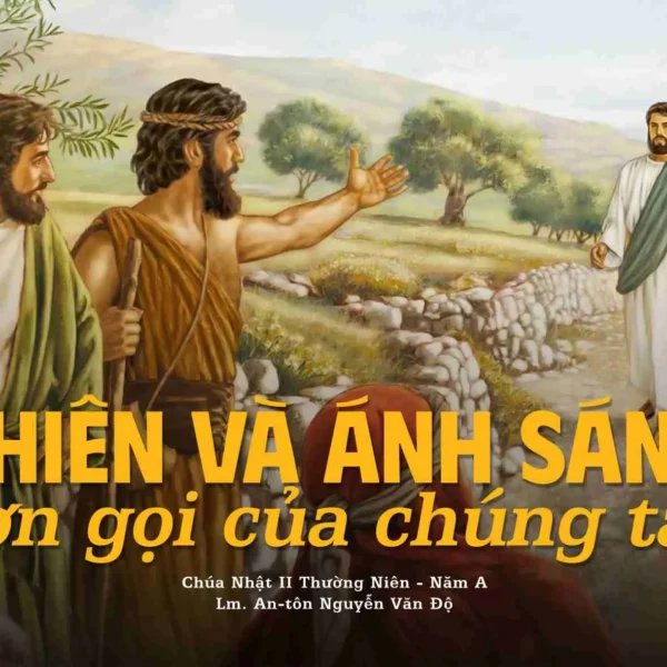 Chiên và Ánh Sáng, ơn gọi của chúng…