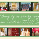 “Những ký ức của hy vọng” trong năm 2025 tại TTHH Sở Kiện