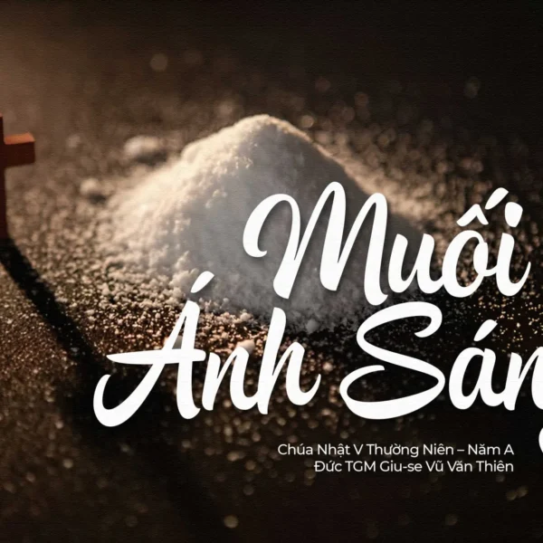 Muối và Ánh Sáng – Chúa Nhật V&hellip;