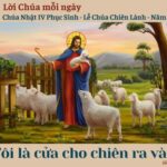 Chúa Nhật IV Phục Sinh – Lễ Chúa Chiên Lành – Năm A