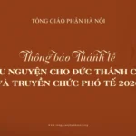 Thông báo: Thánh lễ cầu nguyện cho Đức Thánh Cha và Truyền chức Phó tế 2026