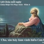 Chúa Nhật VII Phục Sinh – Năm A
