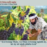 Thứ Tư tuần V Phục Sinh