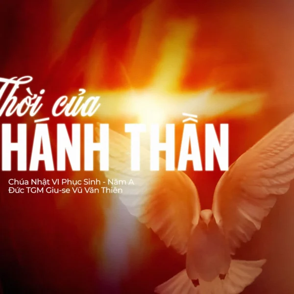 Thời của Thánh Thần – Chúa Nhật VI…