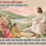 Thứ Ba tuần XII Thường niên