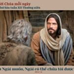 Thứ Sáu Tuần XII Thường Niên