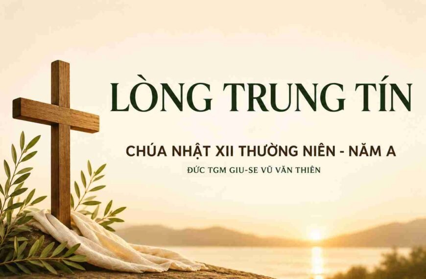 Lòng trung tín – Chúa Nhật XII Thường…