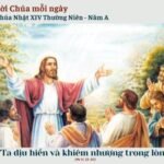 Chúa Nhật XIV Thường Niên