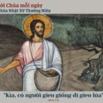 Chúa Nhật XV Thường Niên