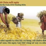 Thứ Ba Tuần XVII Thường Niên